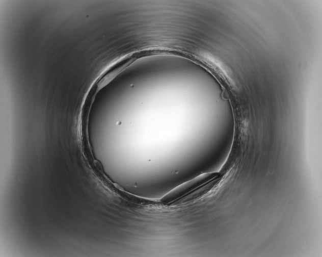 X0000094200884200710261150