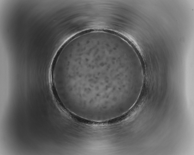 X0000094200887200710261150