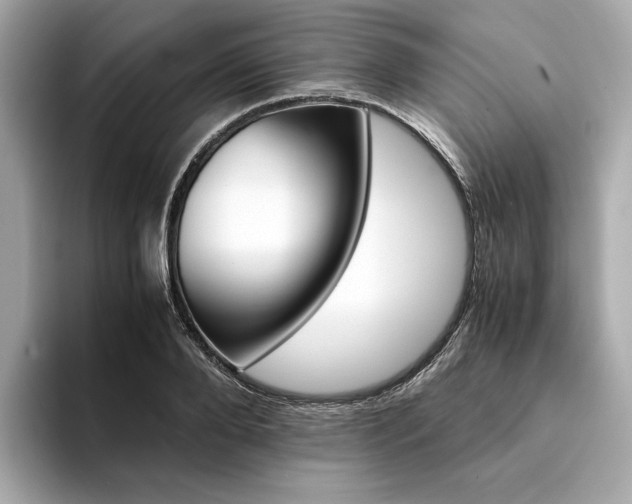 X0000094200888200710261150