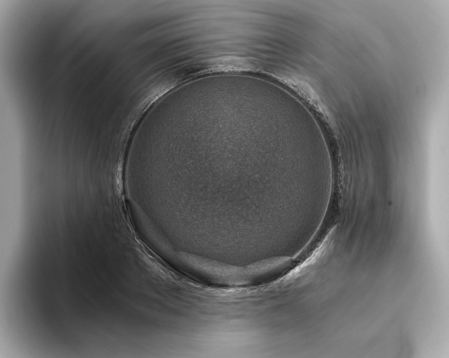 X0000094200889200710261150