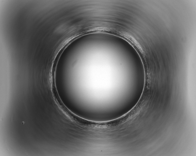 X0000094200890200710261150