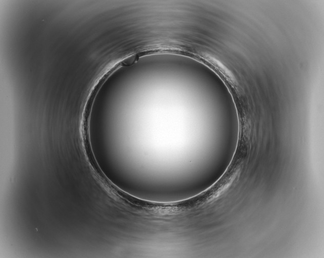 X0000094200893200710261149