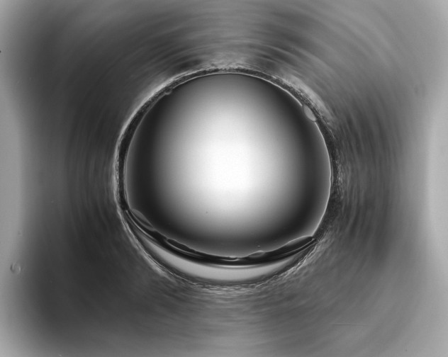 X0000094200894200710261149