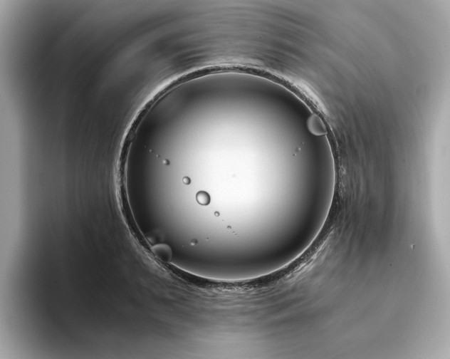 X0000094200895200710261149