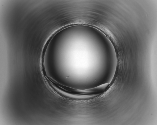 X0000094200896200710261149