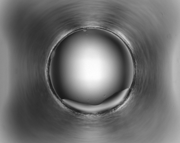 X0000094200901200710261149