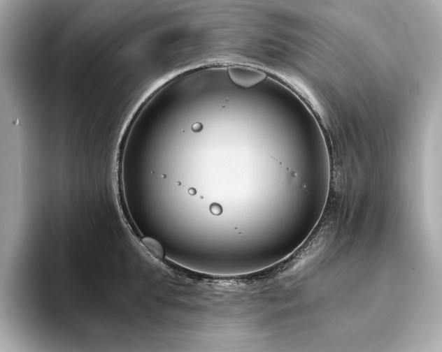 X0000094200903200710261149