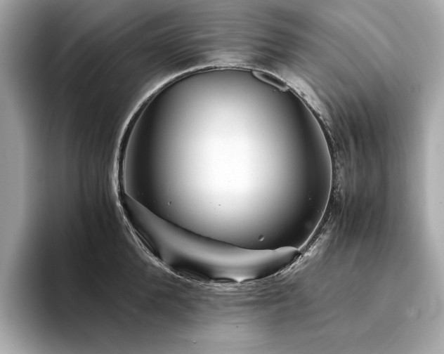 X0000094200904200710261149