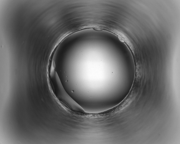 X0000094200906200710261149