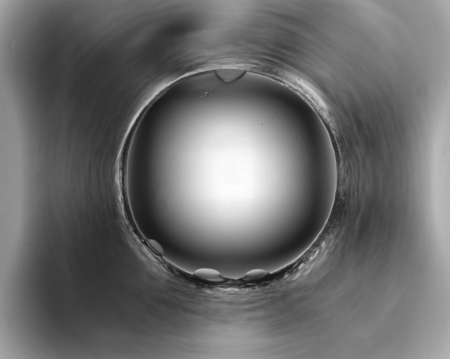 X0000094200907200710261149