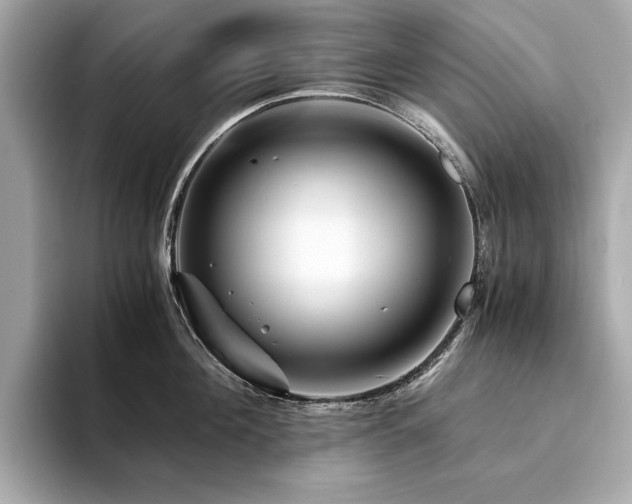 X0000094200908200710261149