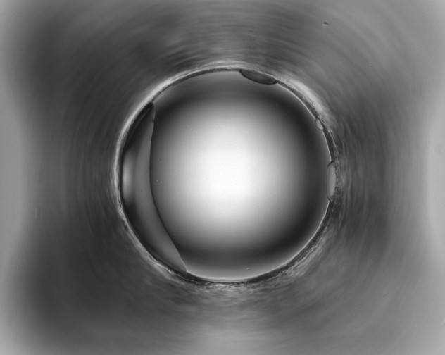 X0000094200910200710261149