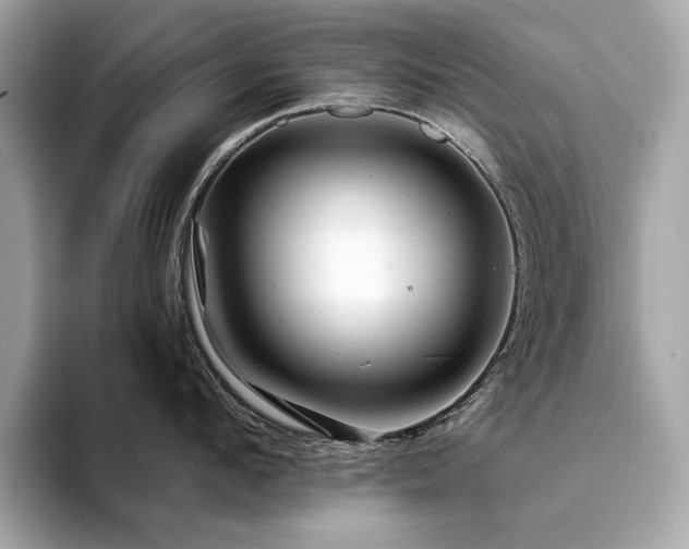 X0000094200912200710261149