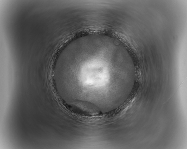 X0000094200913200710261149