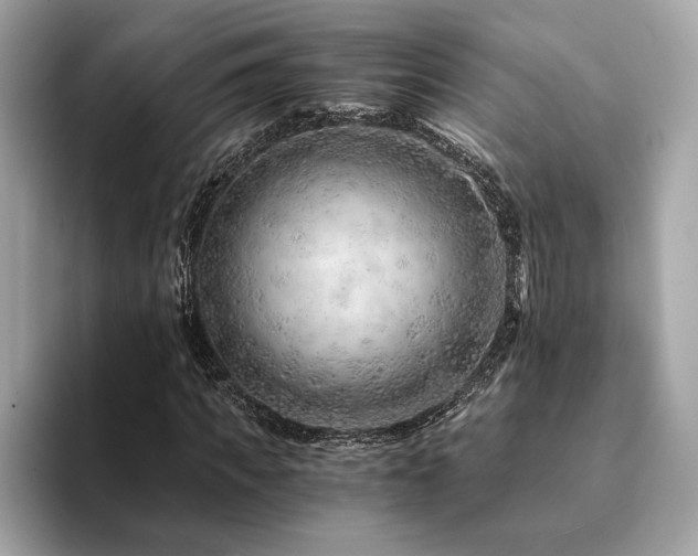 X0000094200917200710261149