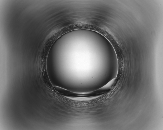 X0000094200919200710261149