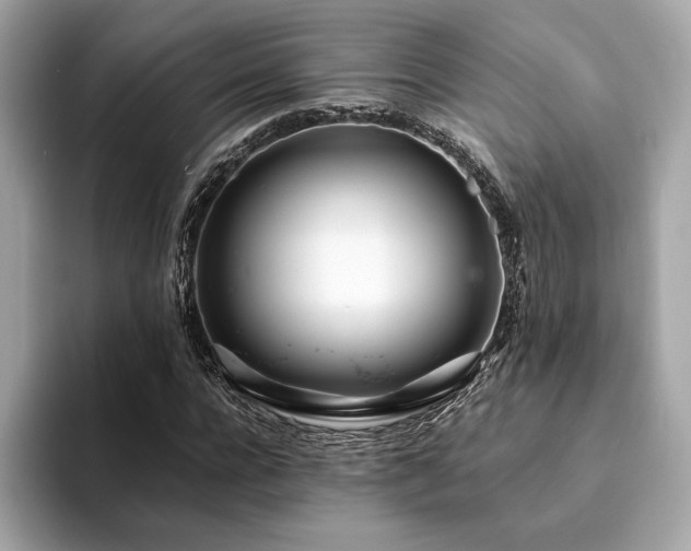 X0000094200920200710261149