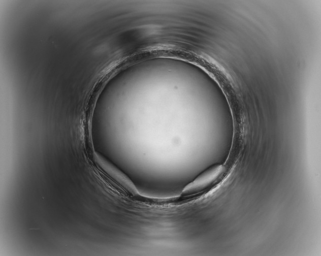 X0000094200921200710261149