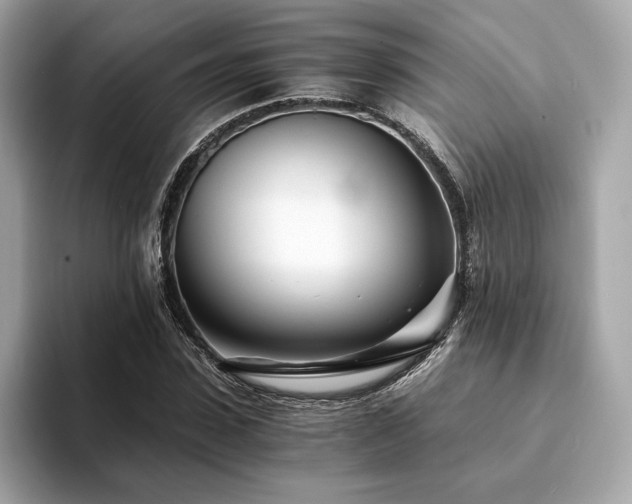 X0000094200923200710261149