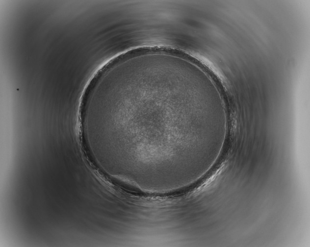 X0000094200927200710261149