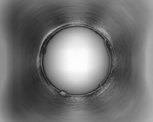 X0000094200928200710261149
