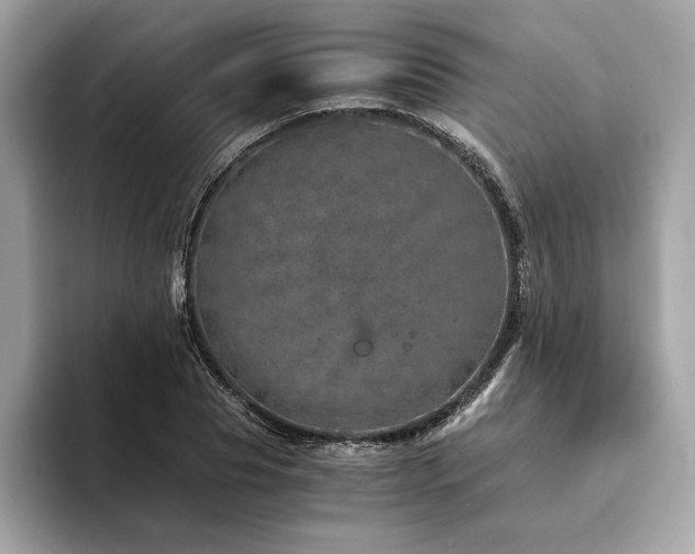 X0000094200929200710261149