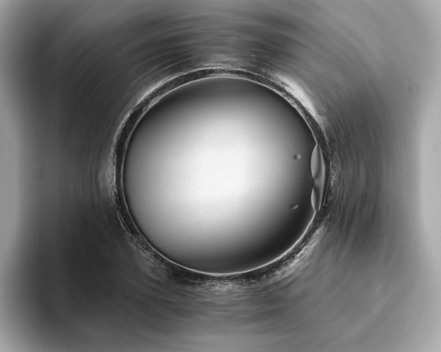 X0000094200931200710261149