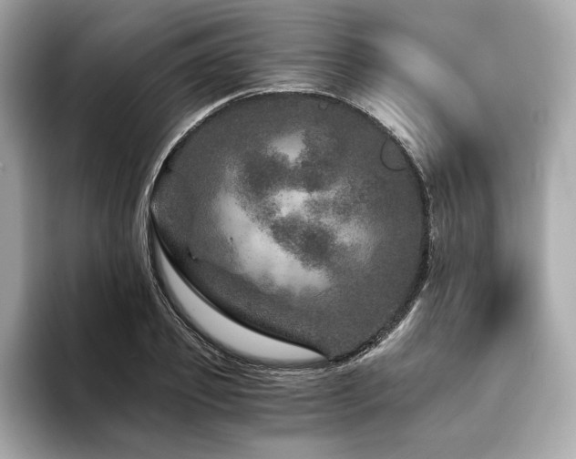 X0000094200933200710261149