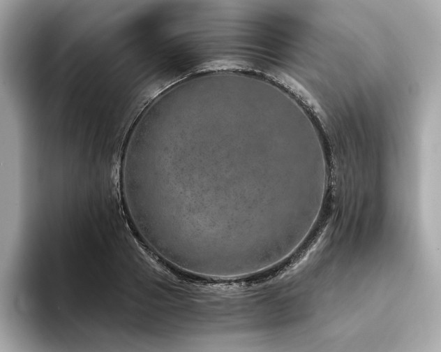 X0000094200937200710261149