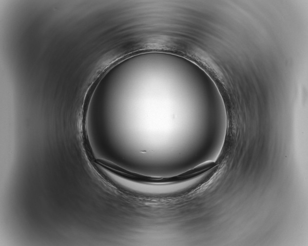 X0000094200938200710261149