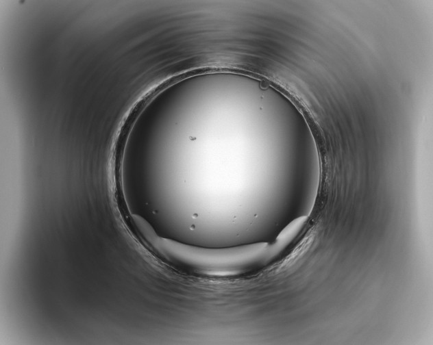 X0000094200939200710261149
