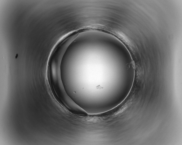 X0000094200940200710261149