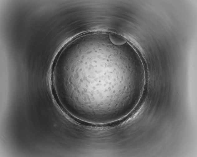 X0000094200941200710261149