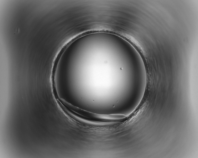 X0000094200943200710261149