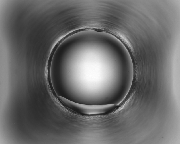 X0000094200944200710261149