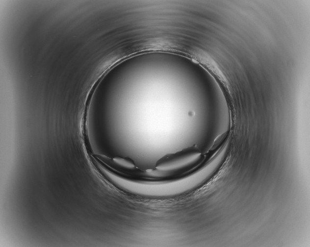 X0000094200946200710261149