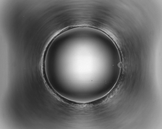 X0000094200949200710261149