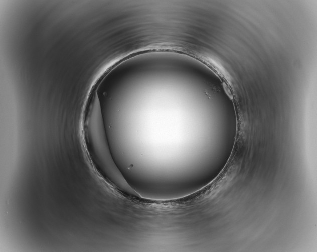 X0000094200952200710261149