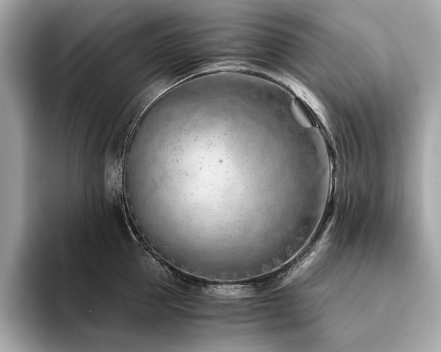 X0000094200953200710261149