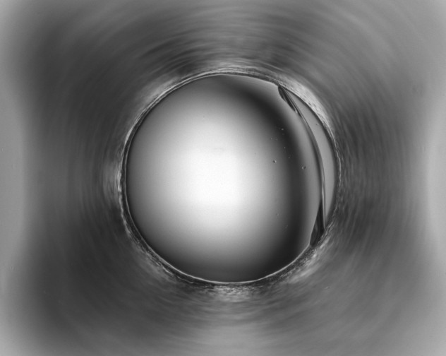X0000094200954200710261149