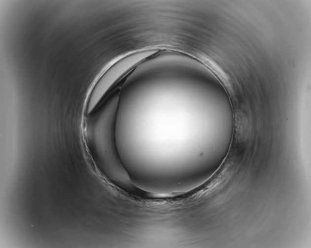 X0000094200956200710261149