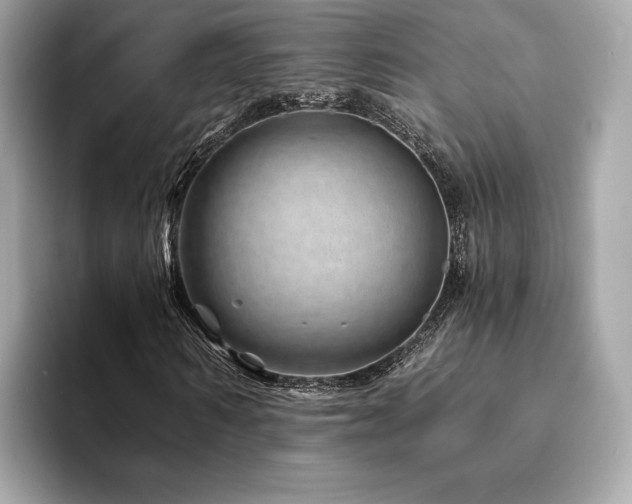 X0000094200962200710261149