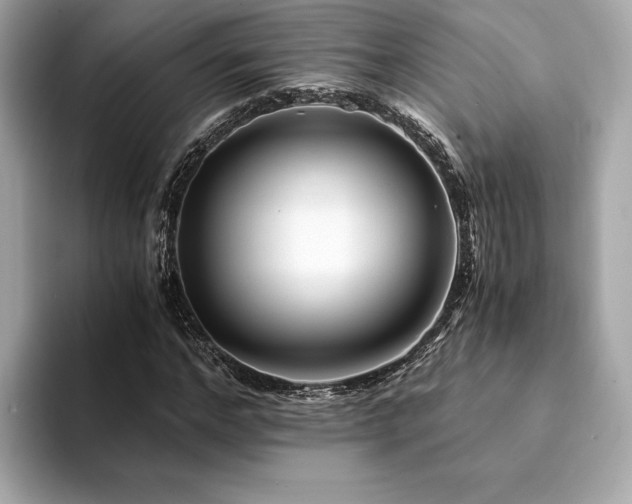 X0000094200968200710261148
