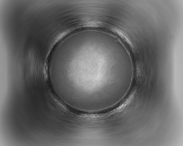 X0000094200970200710261148