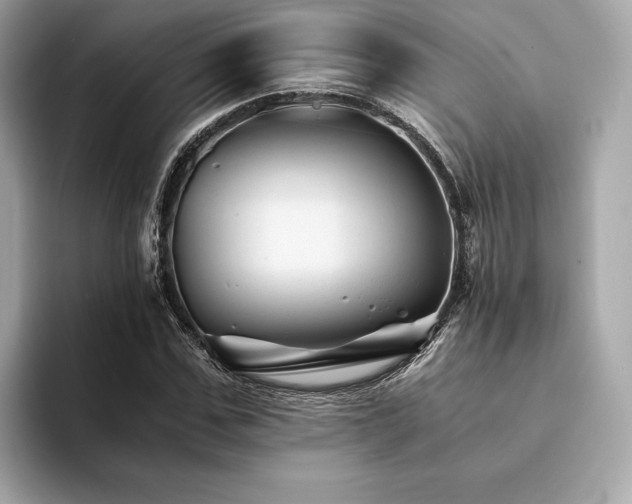 X0000094200971200710261148