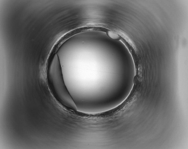 X0000094200972200710261148