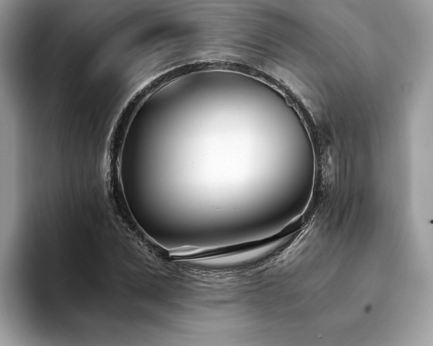 X0000094200975200710261148