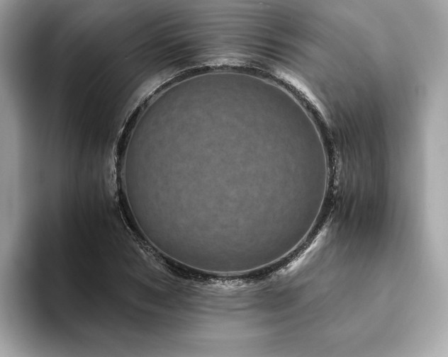 X0000094200978200710261148