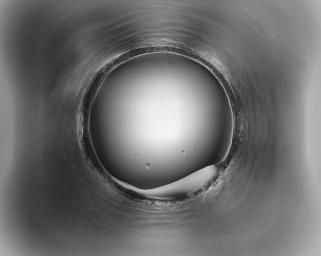 X0000094200979200710261148