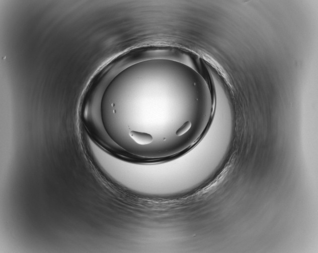 X0000094200981200710261148